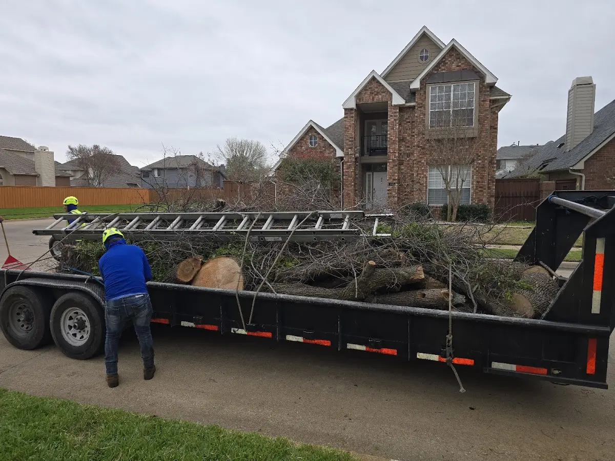 Expert Tree Fertilization with proper safety equipment in Stark